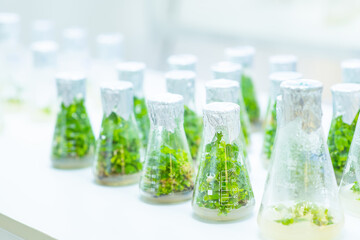 University lab exploring new methods of plant breeding, Alternative green herb medicine, Natural skin care beauty products, Laboratory and development concept.