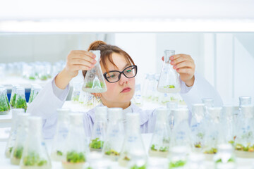 In a biological laboratory, a girl assistant examines test tubes with grown plants. Eco-friendly plants for farms