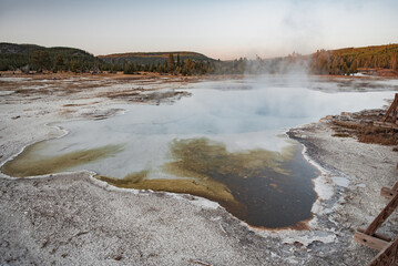 hot springs and geysers at yellowstone national park