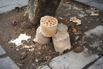 Obraz premium Burned out charcoal briquets discarded next to a tree in urban Vietnam. These pressed coal shapes are often used in street food stalls to heat pots of broth.