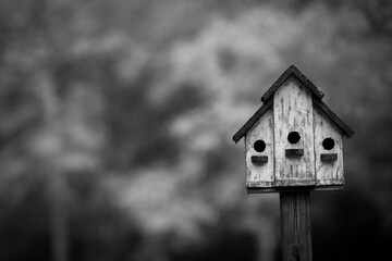Obraz na płótnie Canvas bird house in the forest / black and grey 