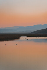 Fototapeta premium golden fiery sunrise over the meadow and the river reflections 