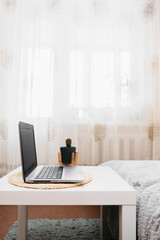 cozy home workplace, thin silver laptop with cactus, sofa with fluffy gray blanket, vertical content, selective focus