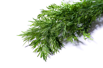 bunch fresh, green dill on a white background.