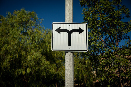 Road Sign On A Street Pole With Arrows Pointed In Opposite Directions Facing East And West (right And Left) With Trees In The Background