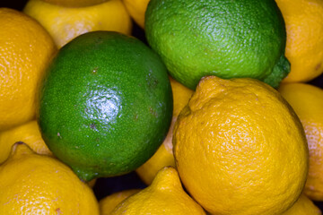 Bowl of lemons and limes