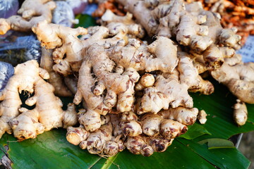 Fresh ginger in the market