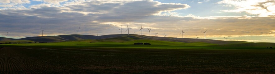 Local Australian Wind farm in late afternoon