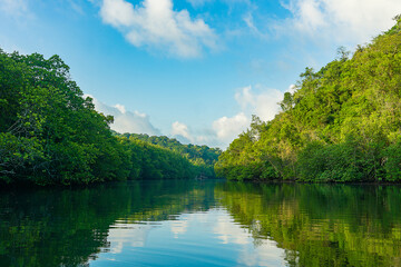 Beautiful natural scenery of river in southeast Asia tropical green forest.