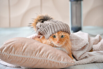 Cute cat with warm plaid and hat near electric heater at home. Concept of heating season