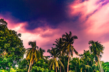 Beautiful nature landscape scenery of summer sunset in afternoon. Green trees and abstract objects under clear colorful blue, pink, purple sky with white clouds in evening dusk. Copy space for text.