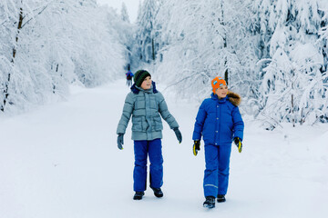 Two school kid boy walking in snowy winter forest. Happy children having fun outdoors in winter. Family, siblings and brothers hiking and walking together, outdoors. Active leisure with kids