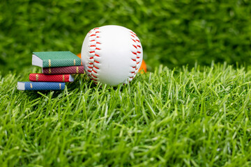 Baseball is on green grass for training concept or rules for Baseball