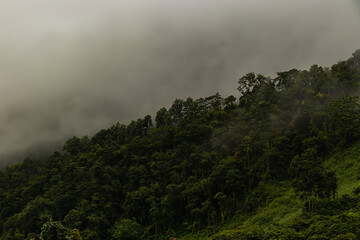 Beautiful landscape in the mountains at sunset. View of foggy hills covered by forest in North Thailand.