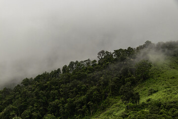 Beautiful landscape in the mountains at sunset. View of foggy hills covered by forest in North Thailand.