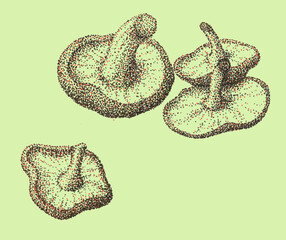 食べ物の点描画（椎茸）
