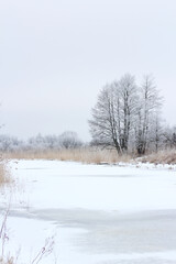 Obraz na płótnie Canvas winter landscape with snowy trees and the river