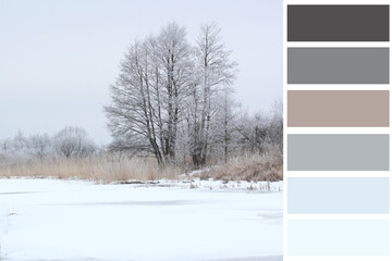 winter brown and grey colour swatches for design