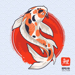 Koi Fish Vector Art - 406911155