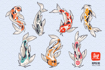 Koi Fish Vector Set
