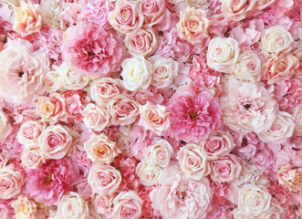 Pink Rose background For Valentine s day ,Mobile phone quality