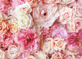 Pink Rose background For Valentine s day ,Mobile phone quality