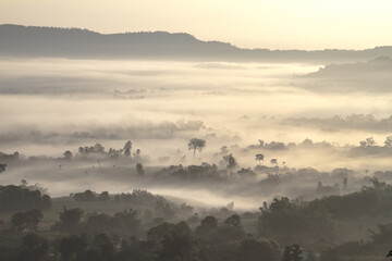 misty morning sunrise over the mountains