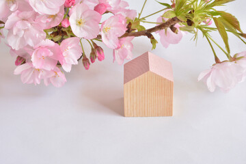 新生活イメージ　木の家　桜の花