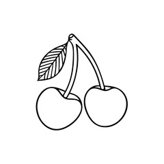 Cherries. Two sweet cherry fruits outline drawing isolated on white background. Cherry couple with leaf sketch drawn illustration. Part of set.