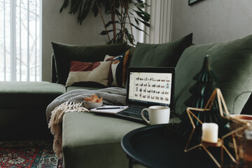 Laptop on the green sofa. Work from home. Loft or modern interior
