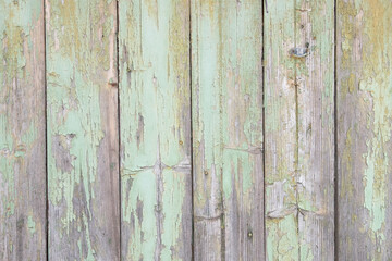 Pastel green, old wooden background