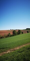 Auf dem Sand bei Unkeroda