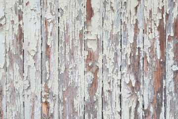 Old wooden door background. Vintage texture. 