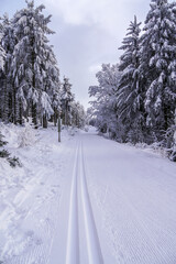 frisch gespurte Loipe Ski fahren Fichtelgebirge Winter