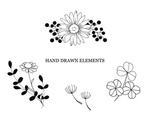 ナチュラルな手描き線画のイラスト