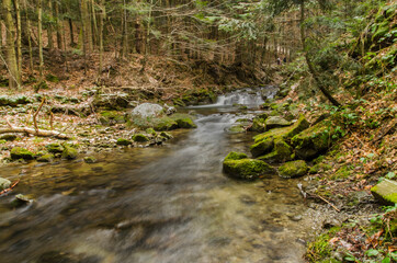 strumień  © wedrownik52