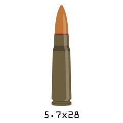 Bullet 300 caliber