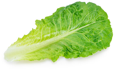 Baby Cos lettuce isolated on white background, Green Napa cabbage leaves isolated on white With clipping path.