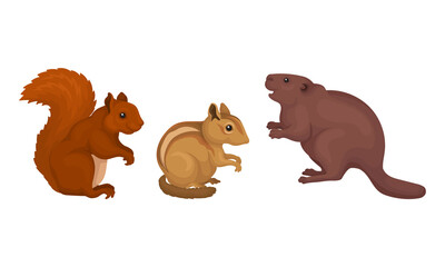 Rodents with Squirrel and Beaver Having Robust Bodies and Short Limbs Vector Set