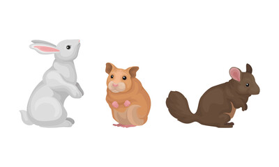 Rodents with Rabbit and Hamster Having Robust Bodies and Short Limbs Vector Set