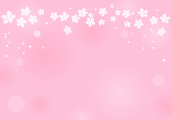 Cherry blossom on pink background vector illustration.