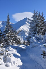 Polish mountains Tatry winter snow in the mountain