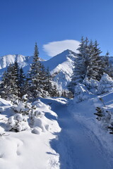 Polish mountains Tatry winter snow in the mountain