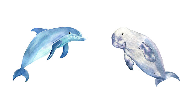 Watercolor rare sea animals dolphin and dugong isolated on white background. Cartoon animals set