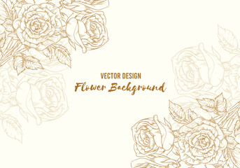 Background Hand Drawn Rose Flower Floral Sketch