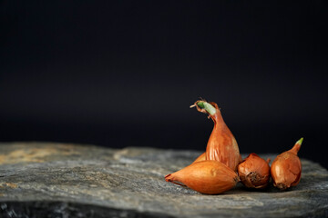 small onions on marble background healthy foods category on black background
