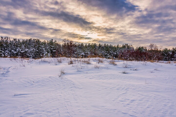 Mid Day in Far Northern Europe Along the Baltic Sea coast