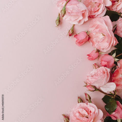 Beautiful pink roses flowers on pink background. Flatlay, top view minimalistic floral composition. Valentine's Day / Mother's Day holiday concept.