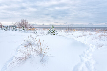 Beach at Mid Day in Far Northern Europe Along the Baltic Sea coast