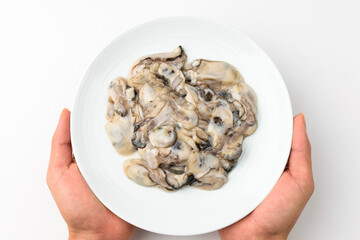 Raw oysters on a white background